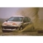 Picture of Three Car Rally Challenge Day at London Rally School for One