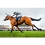Picture of Classic Day at the Races with Lunch