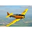 Picture of 30 Minute Harvard Flying Lesson for One