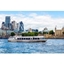 Picture of St Katharine to Thames Barrier or Vice Versa Boat Cruise Family Return