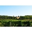 Picture of Vineyard Tour and Wine Tasting at Chilford Hall for Two