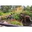 Picture of Entry to Beale Park Wildlife Park and Gardens with a Cream Tea for Two