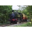 Picture of Chigwell Tours Self-Guided Vintage Bus and Steam Train Tour for Two