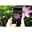 Picture of Smartphone Home Photography Challenge with Simon Warren Photography