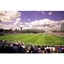 Picture of Kia Oval Cricket Match and Ground Tour with Sparkling Afternoon Tea for Two
