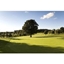Picture of Golf Day for Two at Marriott Tudor Park