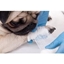 Picture of Online Pet First Aid Course for One