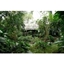 Picture of Rainforest Biome Private Tour for Two at The Eden Project