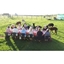 Picture of Family Cream Tea with Alpacas