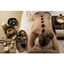 Picture of St Pancras Spa Hot Stone Massage for One