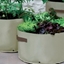 Picture of Vegetable patio planters