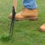 Picture of DeWit weeding fork