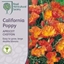 Picture of Eschscholzia californica Apricot Chiffon (Thai Silk Series)