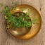 Picture of Round plant dish - brushed brass