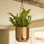 Picture of Hanging polished copper pot