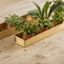Picture of Brushed brass tray