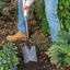 Picture of DeWit ladies spade with v-cut ash T handle