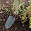 Picture of DeWit planting trowel