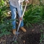 Picture of DeWit two-pronged weeder / rose fork