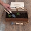 Picture of DeWit small propagating tools