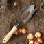 Picture of DeWit tulip trowel