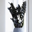 Picture of Zamioculcas zamiifolia Raven ('Dowon') (PBR)