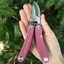 Picture of Ladies folding secateurs gift set