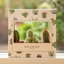 Picture of Gift box of three cactus