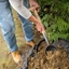 Picture of DeWit garden scoop ash T handle