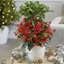 Picture of Ardisia crenata 'Queen Star' and pot cover