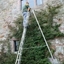 Picture of Standard tripod ladder