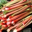 Picture of rhubarb Valentine
