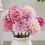 Picture of Pink ice dahlia collection