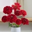 Picture of Best red dahlia collection