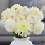 Picture of Best white dahlia collection