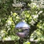 Picture of Brushed aluminium satellite bird seed feeder