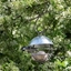 Picture of Brushed aluminium satellite fat ball feeder