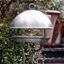 Picture of Brushed aluminium stake bird feeding dome