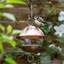 Picture of Brushed copper satellite bird seed feeder