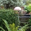 Picture of Brushed copper stake bird feeding dome