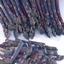 Picture of asparagus Pacific Purple
