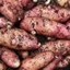Picture of potato Pink Fir Apple