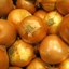 Picture of shallot Yellow Moon