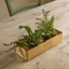 Picture of Brushed brass seed tray