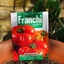Picture of tomato Costoluto Fiorentino