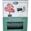 Picture of Bonsai sweet gum - seed growing kit