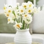 Picture of Sweet and fragrant daffodil collection