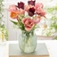 Picture of Copper blush tulip collection