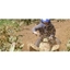 Picture of Quad Bike Driving Experience - Worcestershire