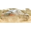 Picture of Rally Solo Intermediate - Subaru